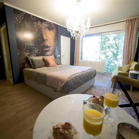 Le Boudoir, Centre Ville, Parking Couvert Inclus Mulhouse Eksteriør bilde