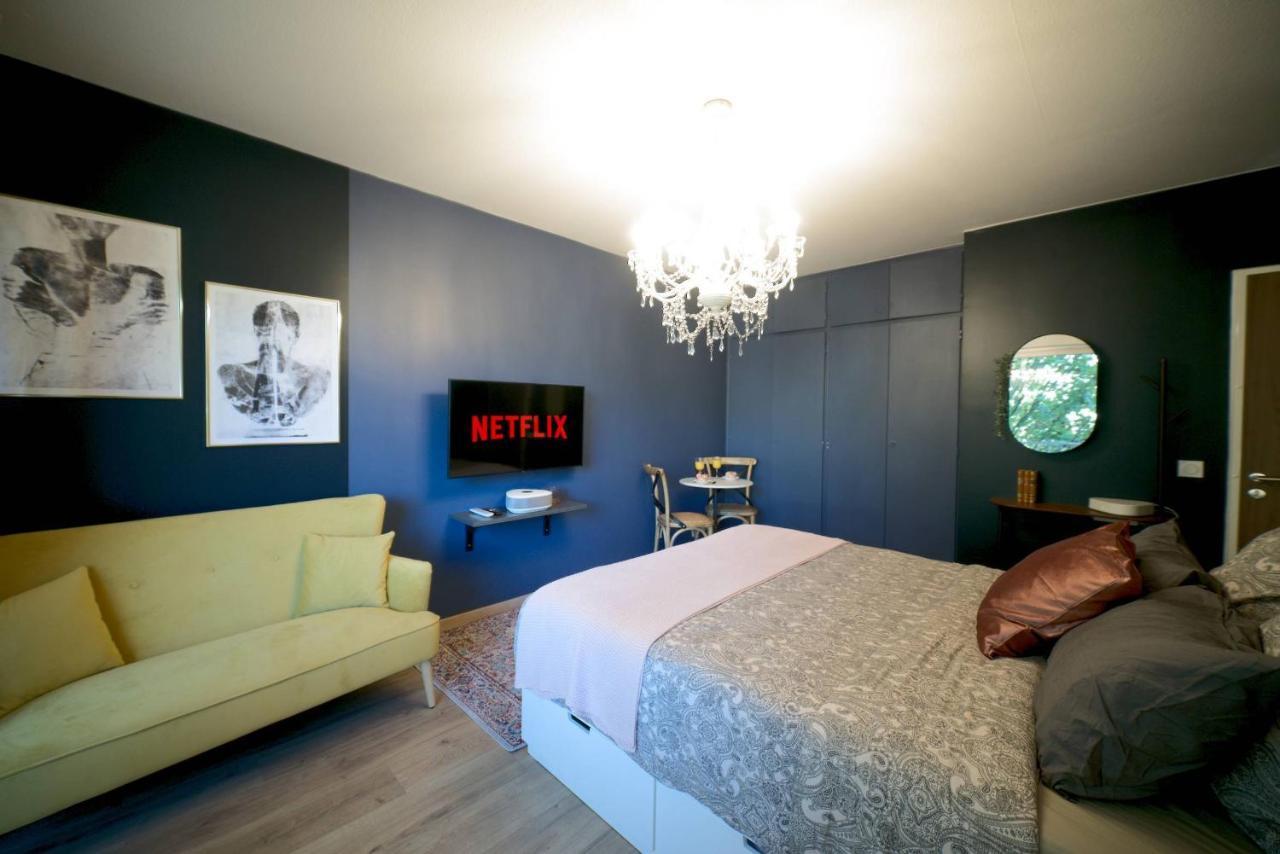 Le Boudoir, Centre Ville, Parking Couvert Inclus Mulhouse Eksteriør bilde